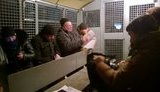 россия конституция