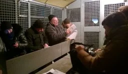 россия конституция