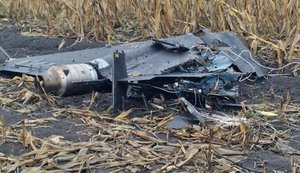 В Молдове обнаружили дрон возле дома