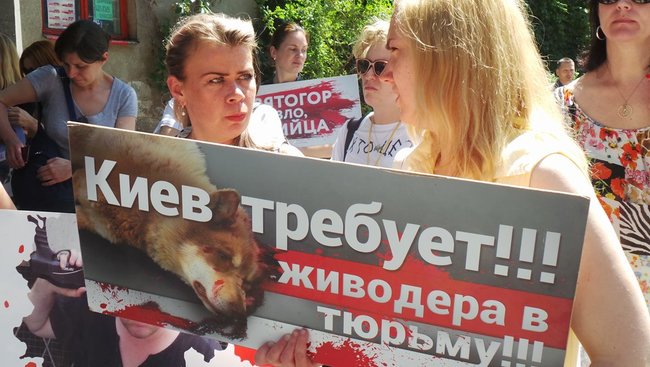 Отключение электричества, самоотвод судьи и митинг: Шевченковский райсуд Киева рассматривает ходатайство об аресте киевского догхантера Святогора 08