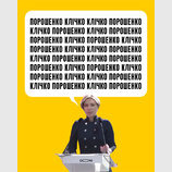Краткое содержание выступления Верещук на съезде слуг в столице