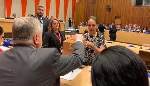 Украину избрали в две комиссии ООН - по народонаселению и наркотическим средствам