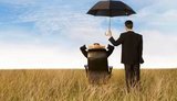 Які компенсації дадуть на агрострахування в цьому році