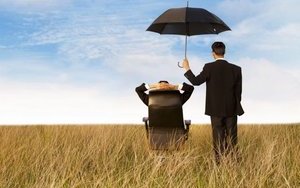 Які компенсації дадуть на агрострахування в цьому році