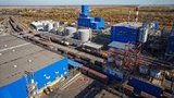 Кто борется за украинское сырье - сою и рапс