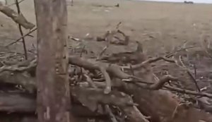 Оккупант о "мясных" штурмах армии РФ: "Три батальона положили. И корейцы здесь были, а продвинуться не можем. Теперь нас гонят". ВИДЕО