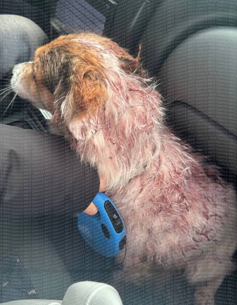 ТЦК в Одесі прокоментував фото чоловіка з травмою голови