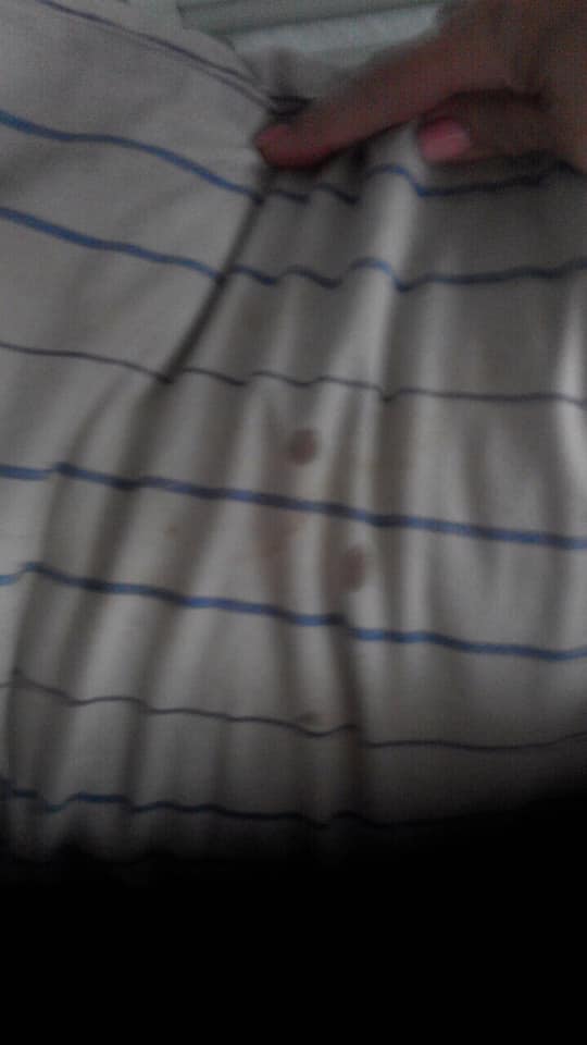 Грязь, ржавчина, клей на окнах: новый сезонный поезд Одесса-Ковель возмутил соцсети 08