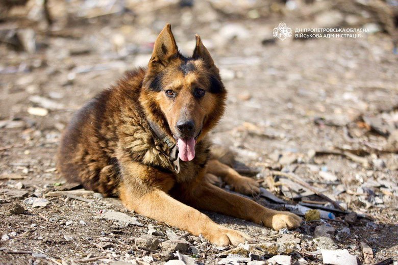 Обстріл Синельниківщини