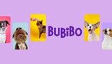 bubibo