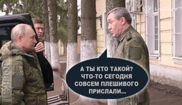 Зустріч на курщині