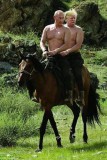 Нежный сон Владимира Владимировича