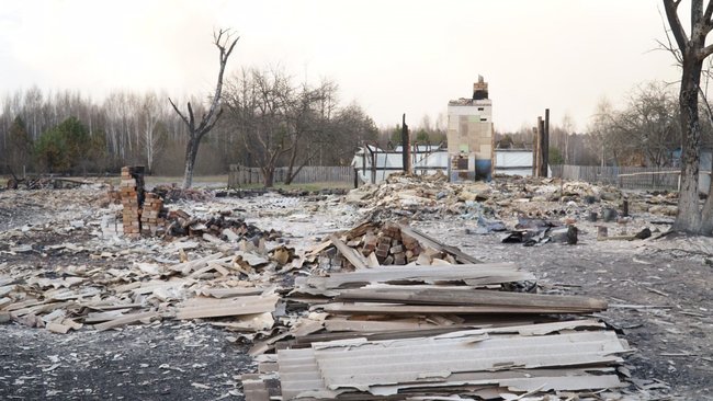 Причина лісових пожеж - приховування вирубки лісів, - Білецький показав кадри наслідків підпалів на Житомирщині 09 Причина лісових пожеж - приховування вирубки лісів, - Білецький показав кадри наслідків підпалів на Житомирщині 09
