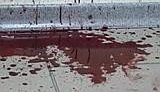 &amp;quot;Кровавый молоток&amp;quot; ограбил киевский банк на рекордную сумму. Оперативное ВИДЕО.