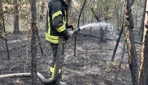 80 гектарів лісу горить на Харківщині, до гасіння залучено пожежний потяг, - ДСНС