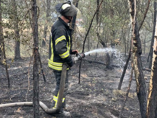 Пожар на Луганщине: подтверждена гибель 5 человек, 9 - госпитализированы, сгорели 103 дома, - ГСЧС 02