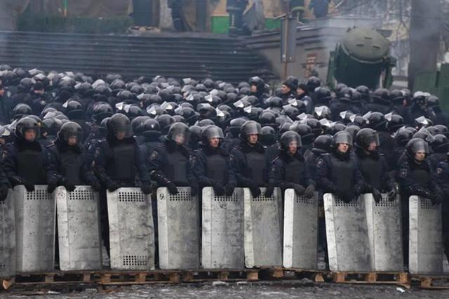 беркут грушевского