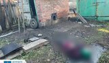 донеччина