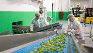 Кабмін посилив вимоги до отримувачів грантів на розвиток переробного бізнесу