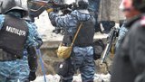 Они сражались за Янека