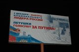 Петушки голосуют за Путина!
