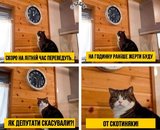 Счастливые часов не наблюдают...