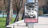 коронавирус