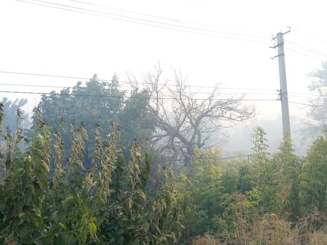 Пожежі на Луганщині: вогонь перекинувся на КПВВ Станиця Луганська, чути вибухи боєприпасів 06 Пожежі на Луганщині: вогонь перекинувся на КПВВ Станиця Луганська, чути вибухи боєприпасів 06