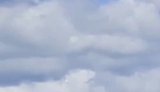 Пограничники Гарта уничтожили российский дрон