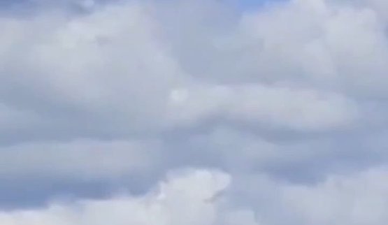 Прикордонники Гарту знищили російський дрон