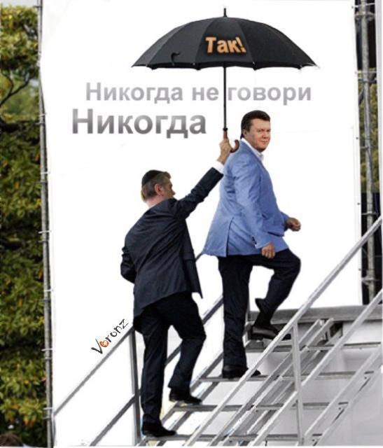 Никогда не говори никогда