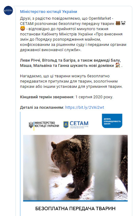 Мінюст шукає дім для левів і ведмедів, конфіскованих рішеннями суду 01