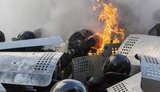 беркут berkut