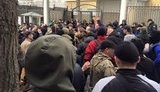 одесса савченко