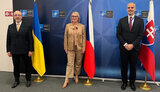 резніков,чернохова,шкленар