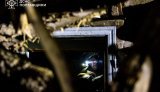 Полтавщина під ударом: зруйновано будинок, триває ліквідація наслідків