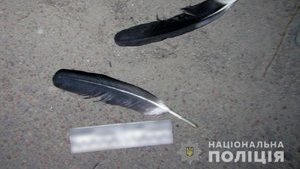Чоловік заради розваги застрелив лелеку під Києвом. ВIДЕО