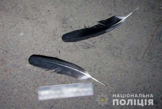 Чоловік заради розваги застрелив лелеку під Києвом 02
