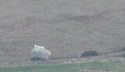 Бійці 21 бригади відбили штурм окупантів на Сумщині та знищили колону техніки