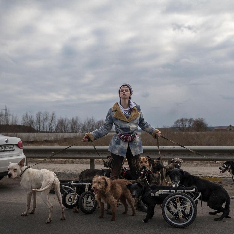 Woman rescues disabled dogs near Irpin 01