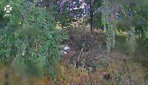 Border guards of "Steel Border" destroyed two camouflaged artillery pieces and two mortars belonging to occupying forces. VIDEO