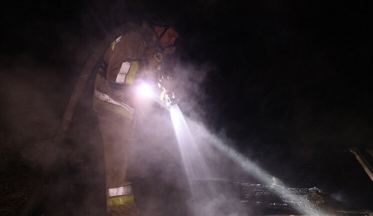Russian troops attacked Mykolaiv region with drones: agricultural enterprise was on fire. PHOTOS