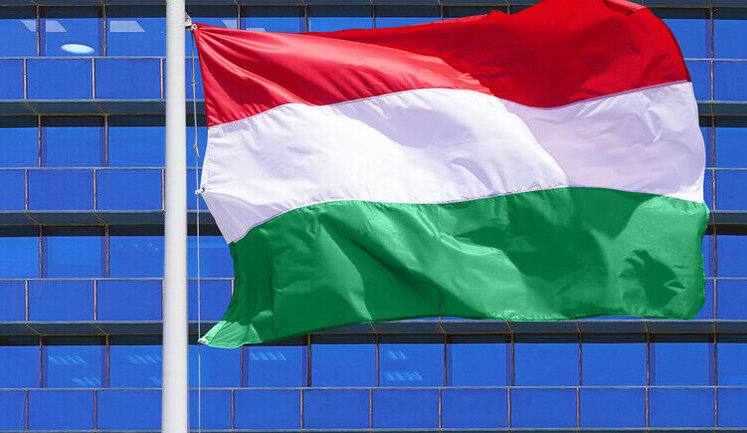 Hungary postponed negotiations with Ukraine on national minorities - Ministry of Justice