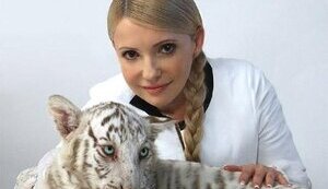 Тимошенко похвасталась как авторитарная Тигрюля гоняет всех по вольеру. ФОТОрепортаж.