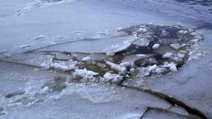 Рятувальники дістали тіло жінки зі Святошинського озера в Києві, - ДСНС