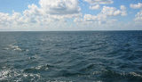 море,черное