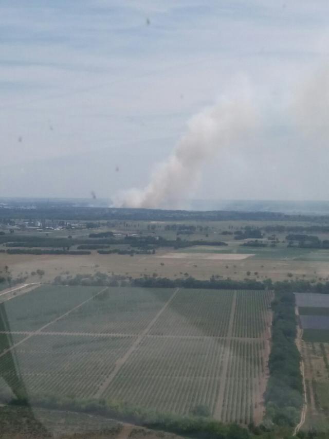 На Херсонщині знову горить ліс 02 На Херсонщині знову горить ліс 02