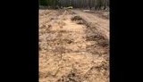 чернігів,цвинтар