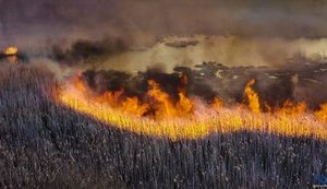 Один спасатель травмирован во время тушения пожара в зоне отчуждения: он госпитализирован, - ГСЧС