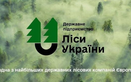 ліси